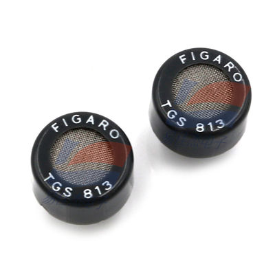 घरेलू गैस रिसाव का पता लगाने के लिए टीजीएस813 सेमीकंडक्टर गैस सेंसर पोर्टेबल गैस डिटेक्शन