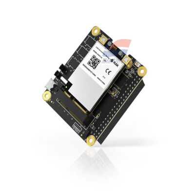 YJJ RAK5146 PiHAT Concentrator Module Sensor Data Collection के लिए LoRaWAN के लिए उपयुक्त