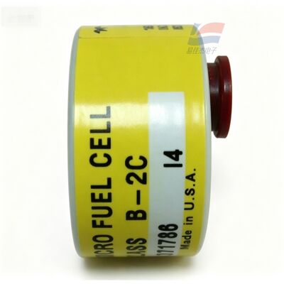 YJJ C06689-B2C वर्ग B-2C अर्धचालक इलेक्ट्रॉनिक विनिर्माण के लिए 0-10ppm ऑक्सीजन सेंसर